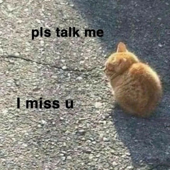 cute therapy