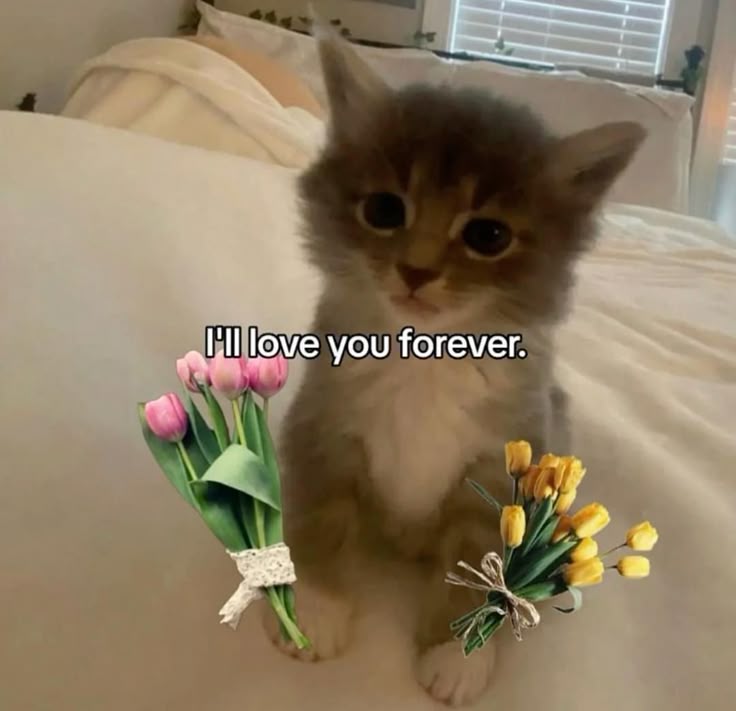 cute therapy